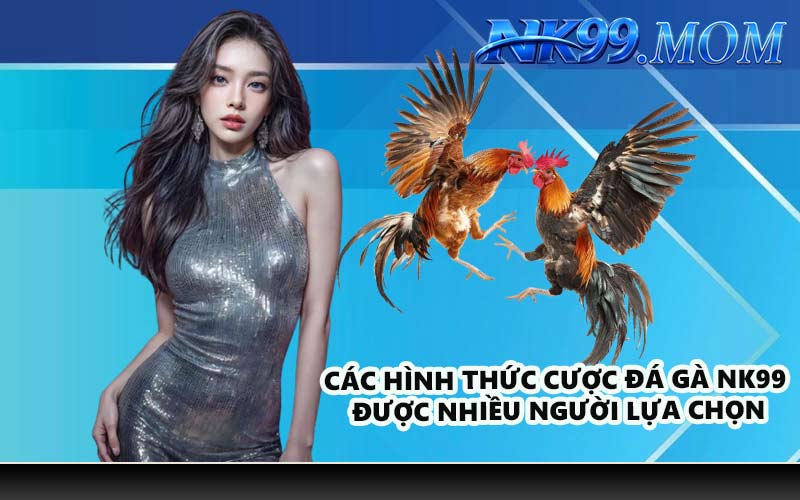 Các hình thức cược đá gà NK99 được nhiều người lựa chọn