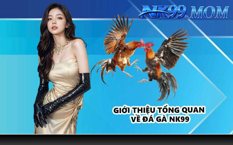 Giới thiệu tổng quan về đá gà NK99