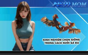 Kinh nghiệm chọn giống trong cách nuôi gà đá