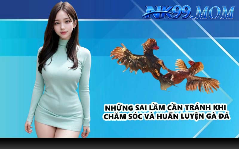Những sai lầm cần tránh khi chăm sóc và huấn luyện gà đá