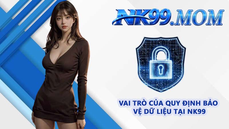 Vai trò của quy định bảo vệ dữ liệu tại NK99
